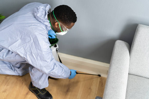 Professional Pest Control in Hertford, NC